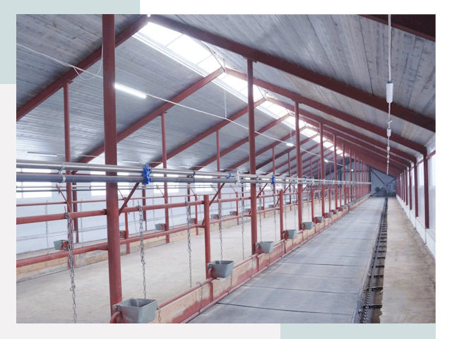 Строительство коровников в Армавире от 608 руб.