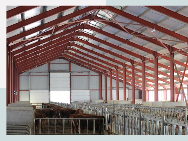 Строительство коровников в Армавире