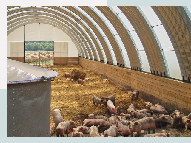 Строительство свинарников в Армавире