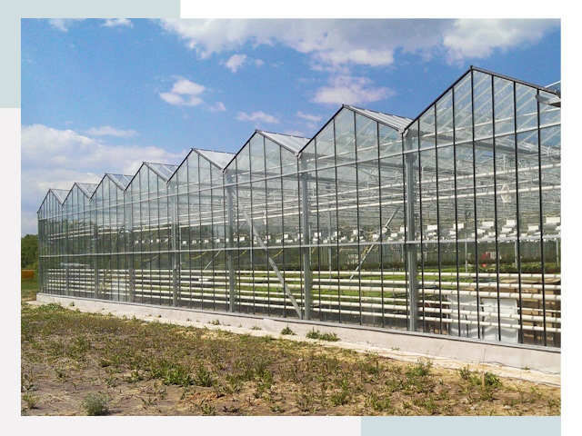 Строительство теплиц в Армавир от 608 руб. за м²