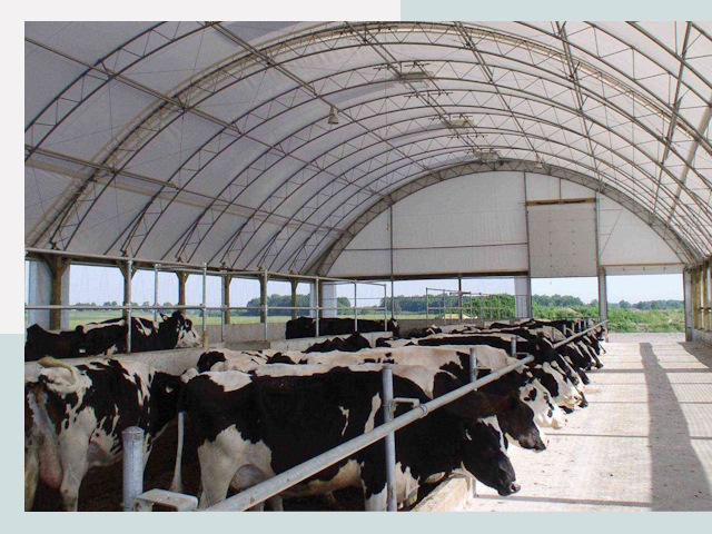 Тентовые коровники в Армавире